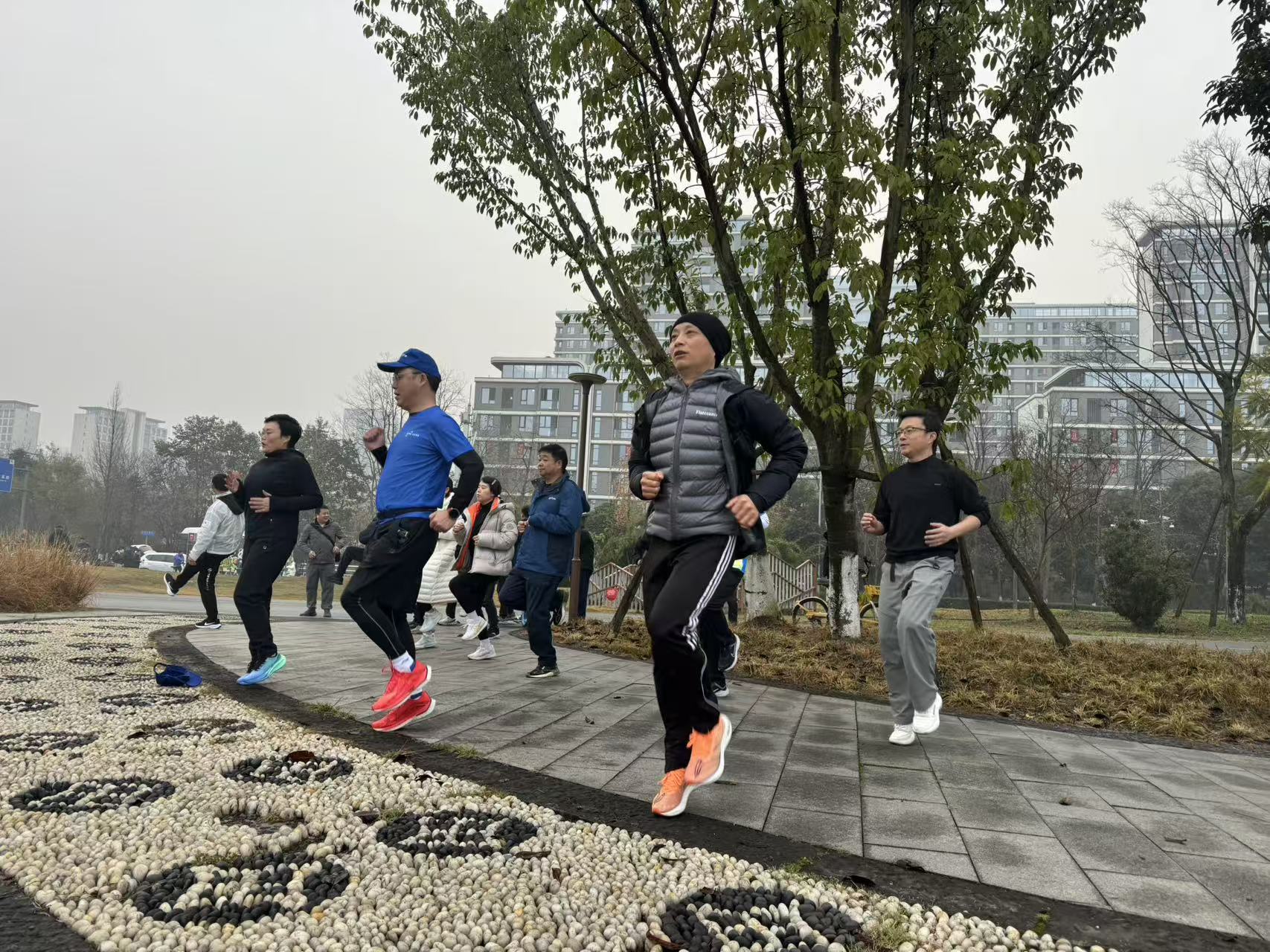 微信图片_20260104152120_450_4.jpg